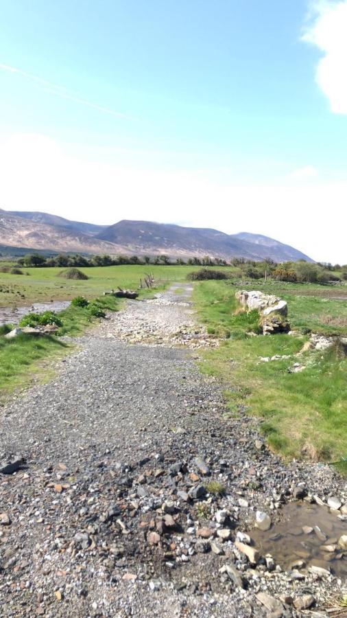 Neadin Beag Apartment Tralee Bagian luar foto